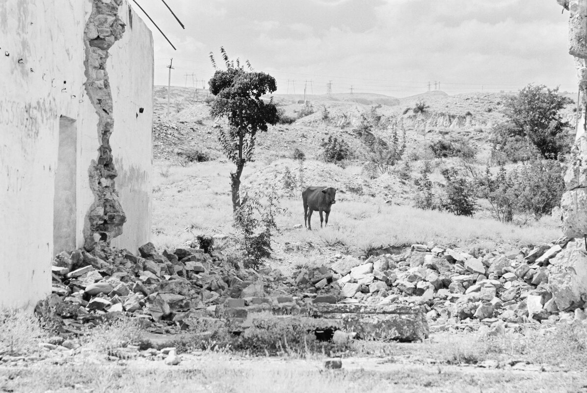 На выжженной земле... - M Marikfoto