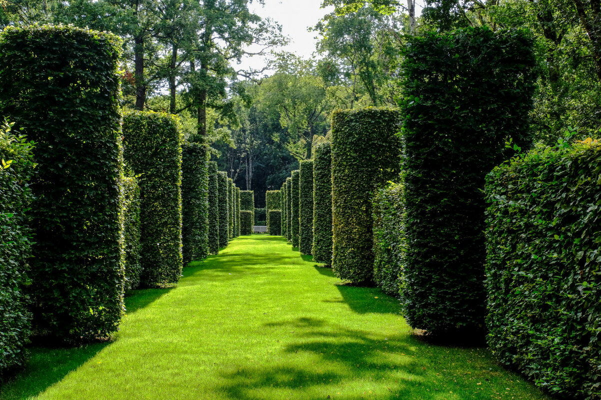 Часть cада замка Пессельер (Pesselieres) - Георгий А