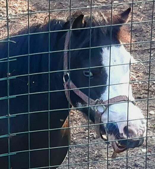 Улыбка - Екатерина К. Улыбка - Екатерина К.