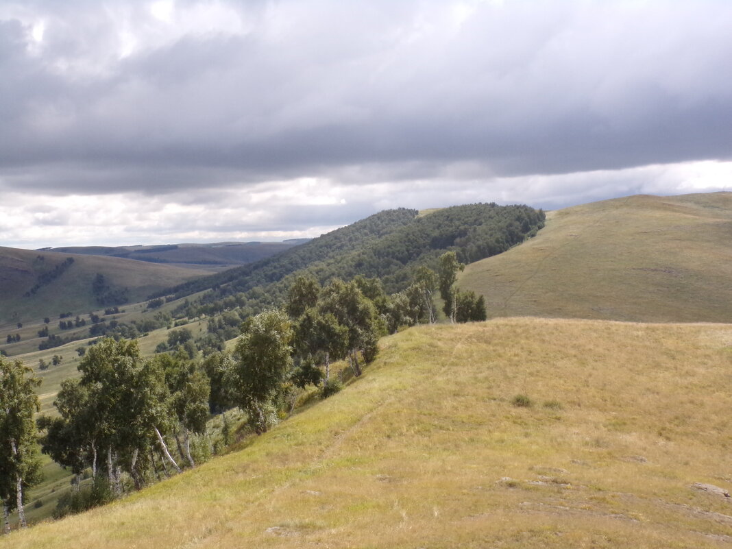 По дороге с облаками - Любовь Иванова