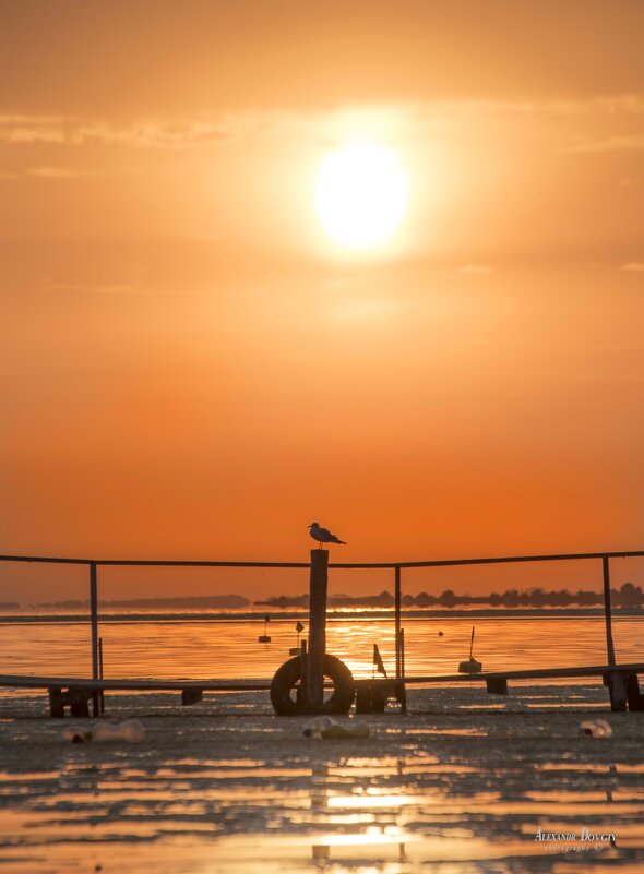 На закате - Александр Довгий