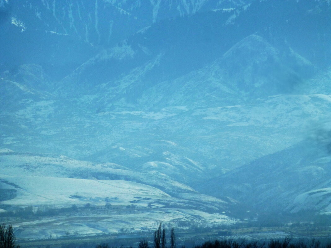 .............. - Murat Bukaev 