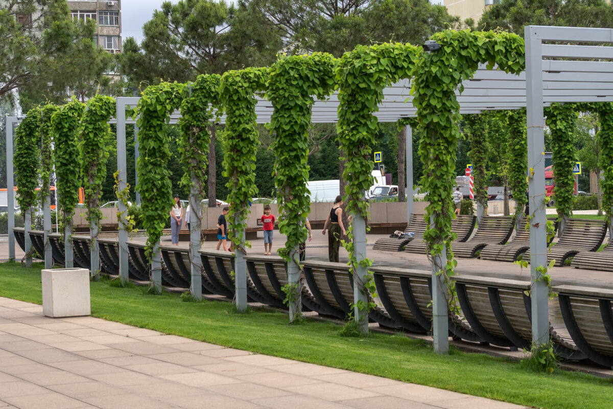 Сухой фонтан - Игорь Сикорский Сухой фонтан - Игорь Сикорский