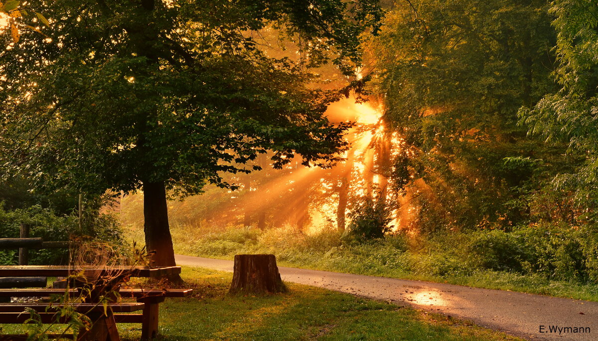 sunrise - Elena Wymann sunrise - Elena Wymann