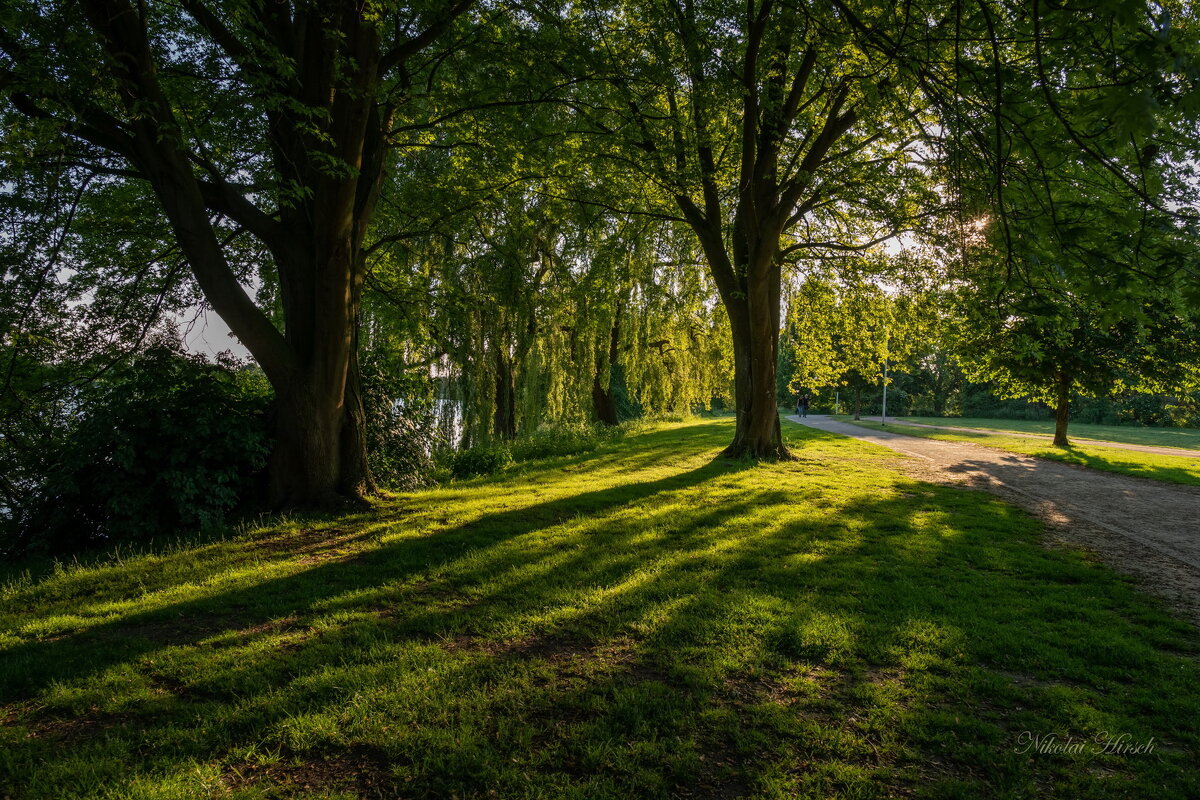 Свет сквозь тени - Николай Гирш Свет сквозь тени - Николай Гирш