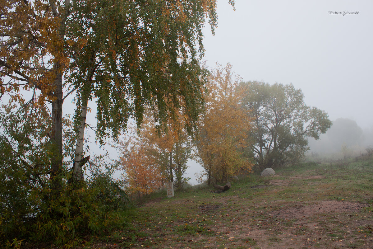 берег Волги - Владимир Зеленцов