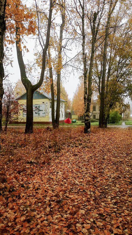 В городе Онега - красавица осень. - Марина Никулина