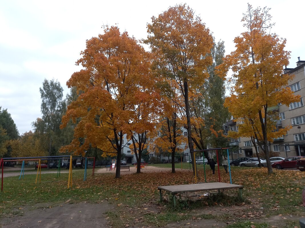 Осень в городе - BoxerMak Mak Осень в городе - BoxerMak Mak