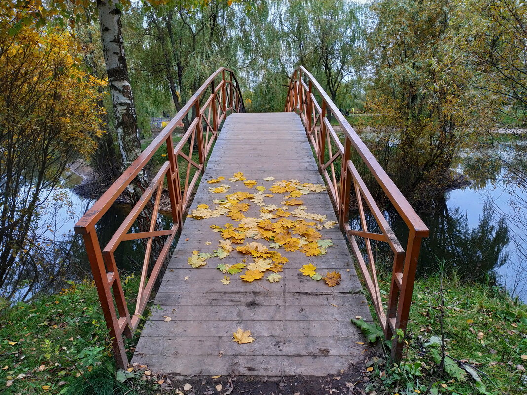 Потому что Золотая осень - Андрей Лукьянов