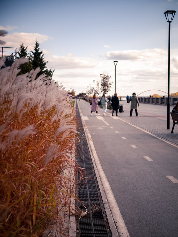 *** - Елена Берсенёва