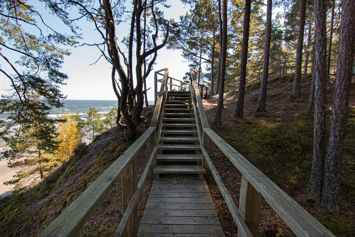 *** - Геннадий Порохов *** - Геннадий Порохов