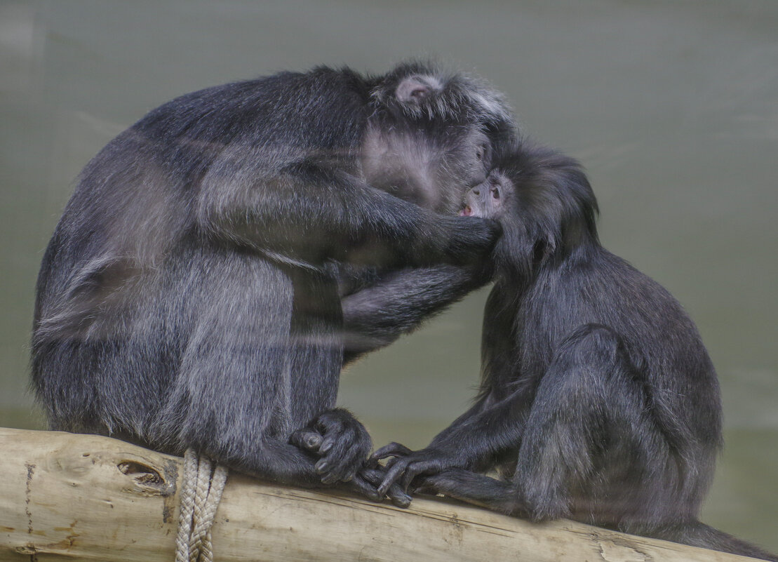 Любовь. - Михаил Измайлов Любовь. - Михаил Измайлов