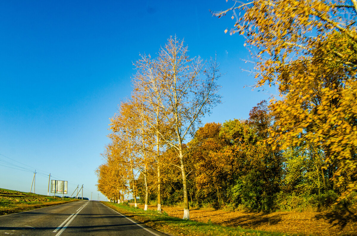 зенитар 16 мм 2.8 рыбий глаз - Александр Леонов зенитар 16 мм 2.8 рыбий глаз - Александр Леонов