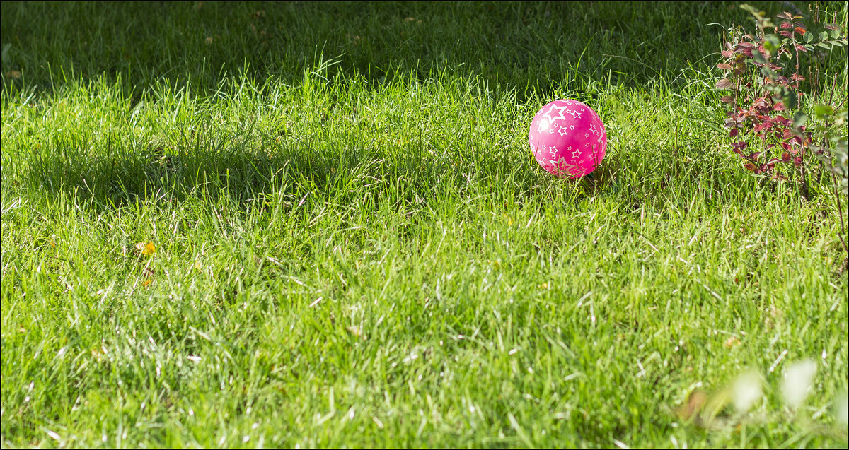 Шарик - Александр Тарноградский Шарик - Александр Тарноградский