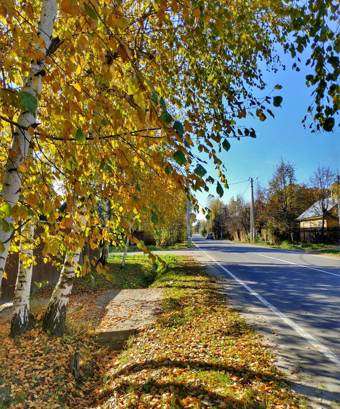 осенняя дорога - Валентина. .