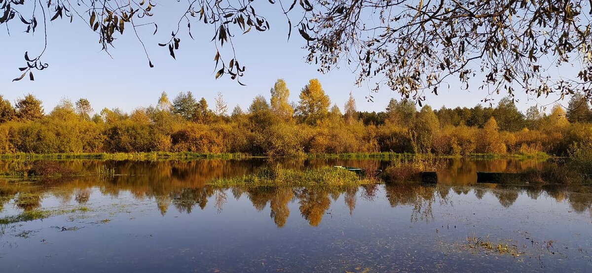 Осень на реке - Надежда Буранова 