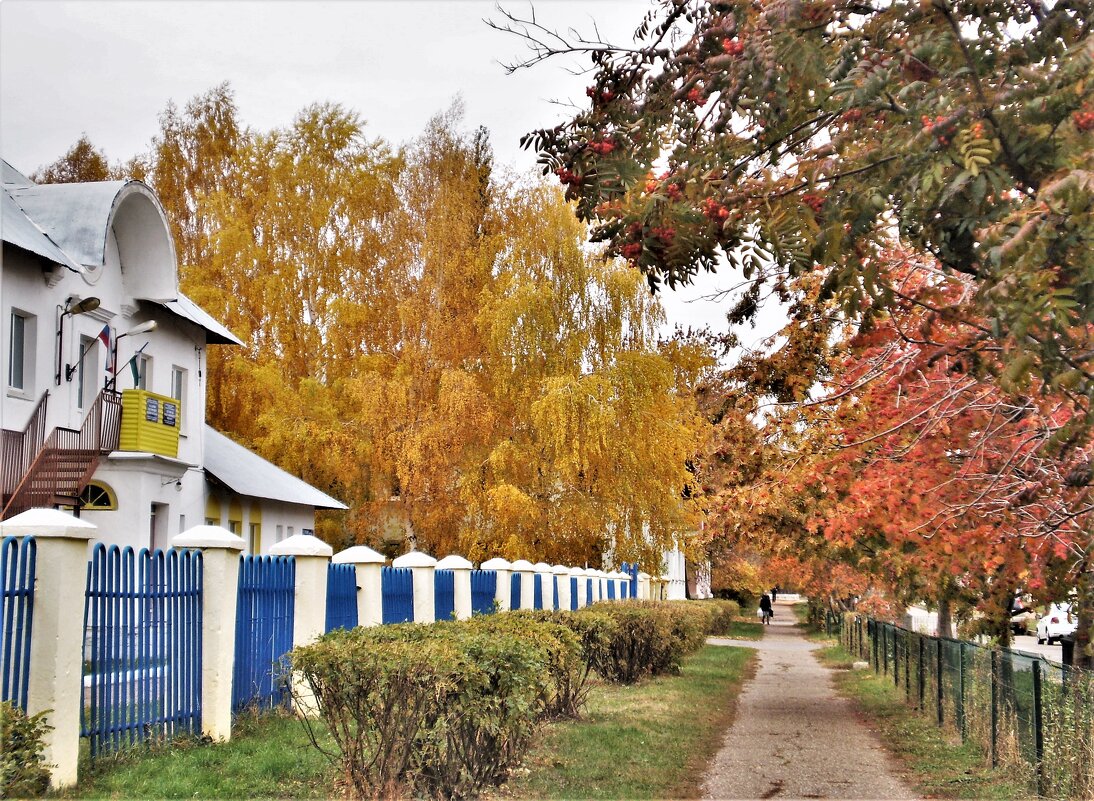 Прогулка по городу. - Венера Чуйкова