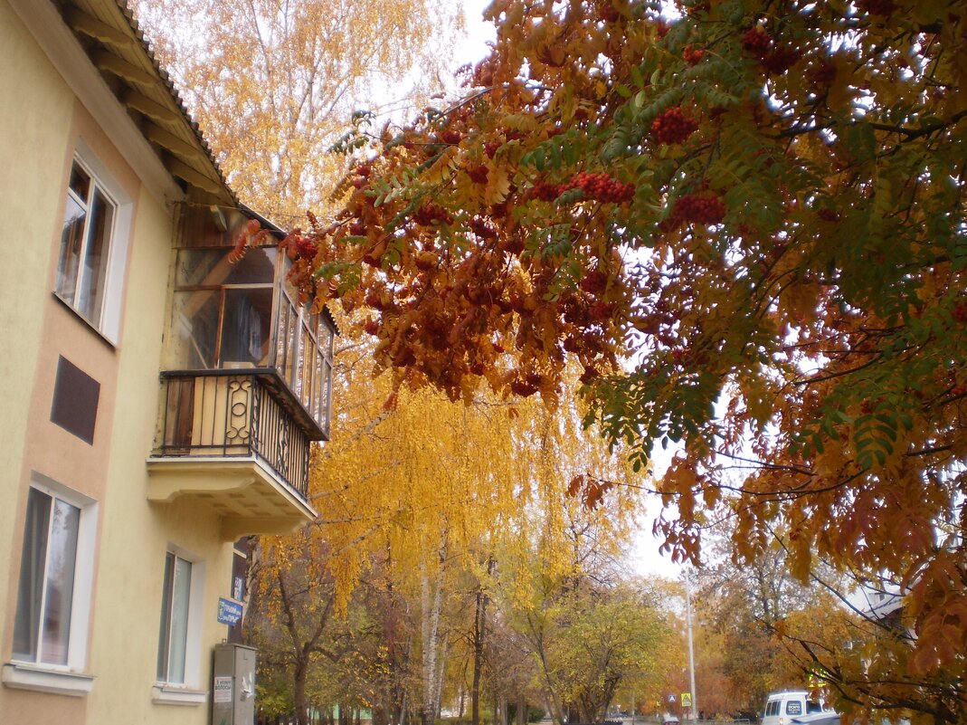 Прогулка по городу. - Венера Чуйкова