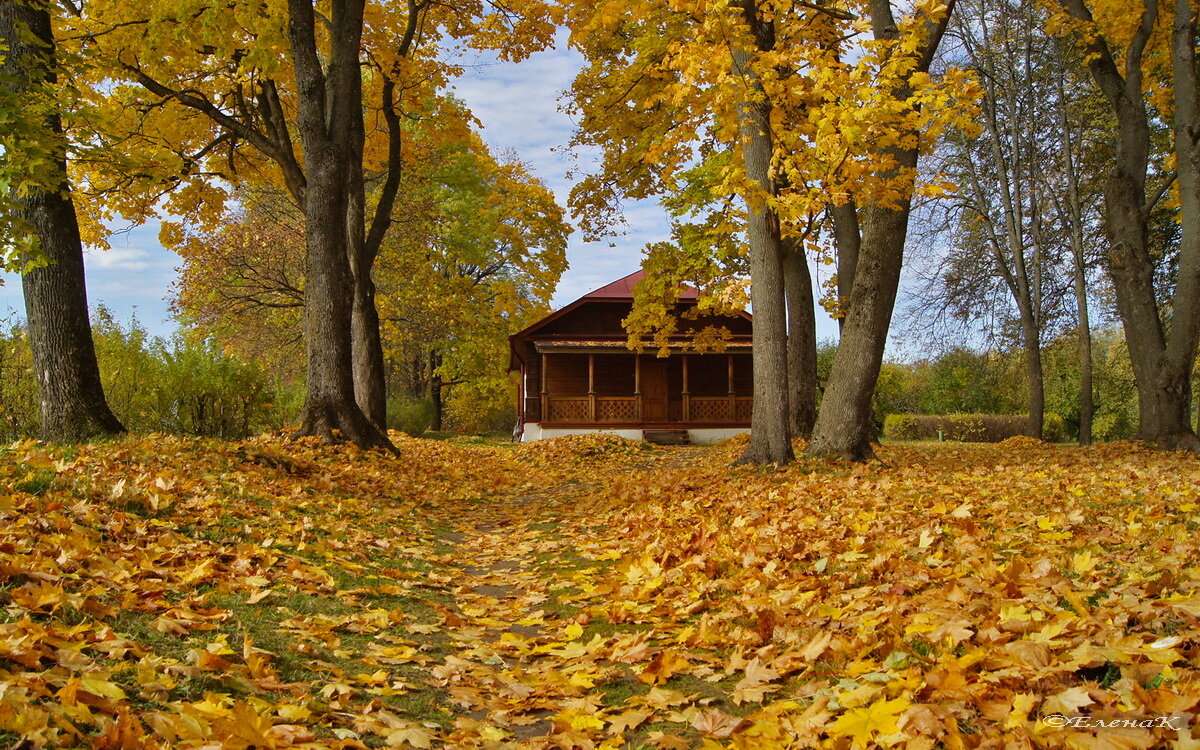 Осень в Спасском - Елена Кирьянова