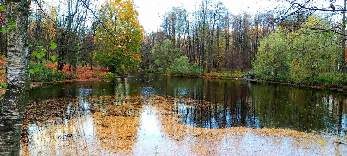 В парке Новознаменка - Елена Виноградова