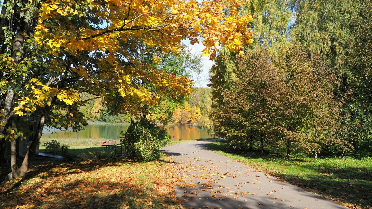 Дорога  к озеру. - Милешкин Владимир Алексеевич 