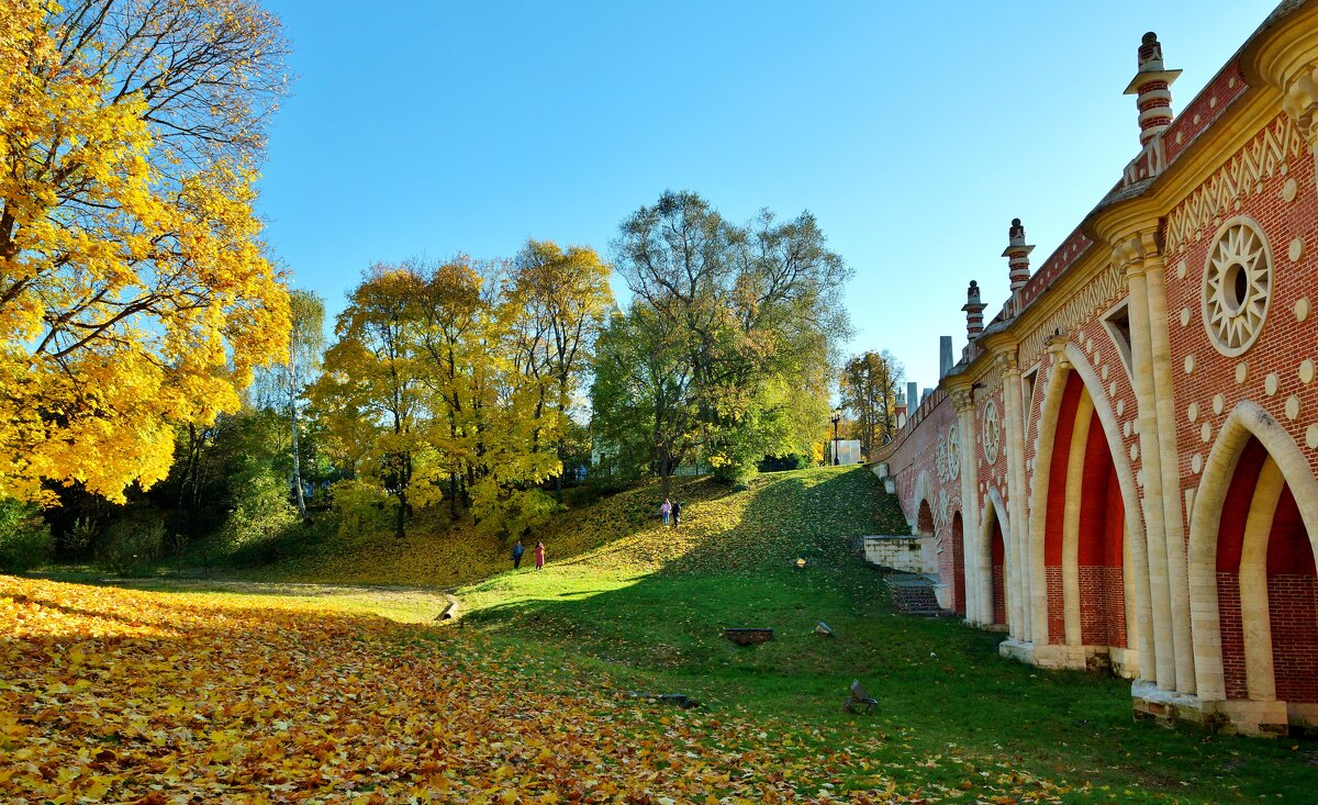 ЦАРИЦЫНО - АЛЕКСАНДР 