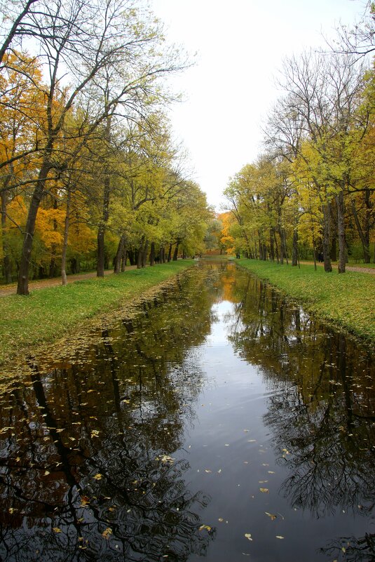 Александровский парк. Царское Село - Наталья Герасимова