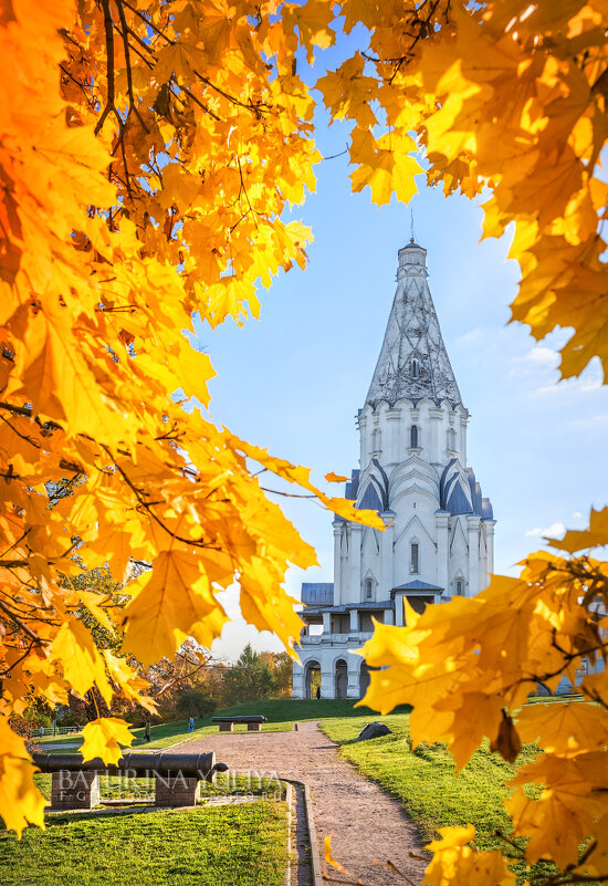 Осенняя рамка - Юлия Батурина