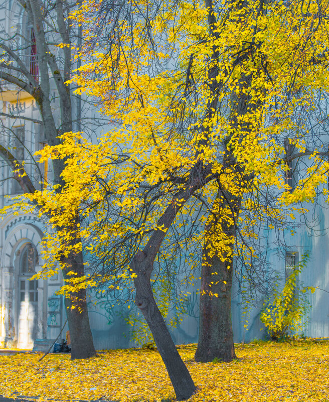 Осень - Олег 