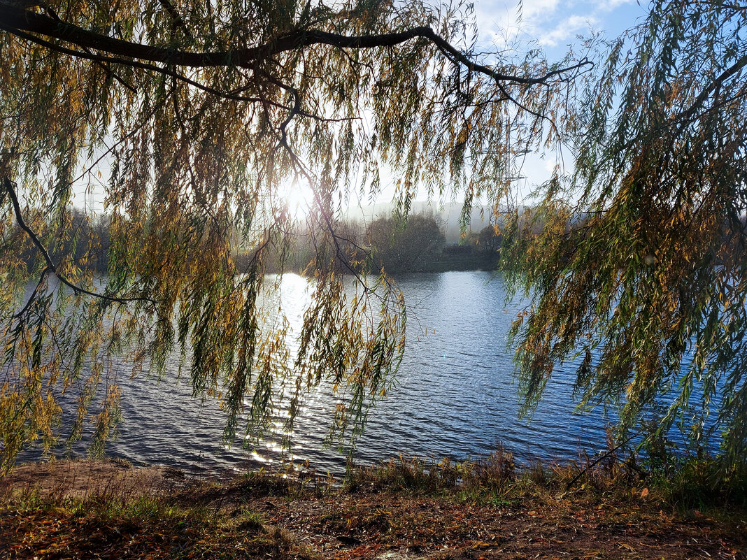 То снег, то солнце - осень, одним словом... - Владимир Безбородов