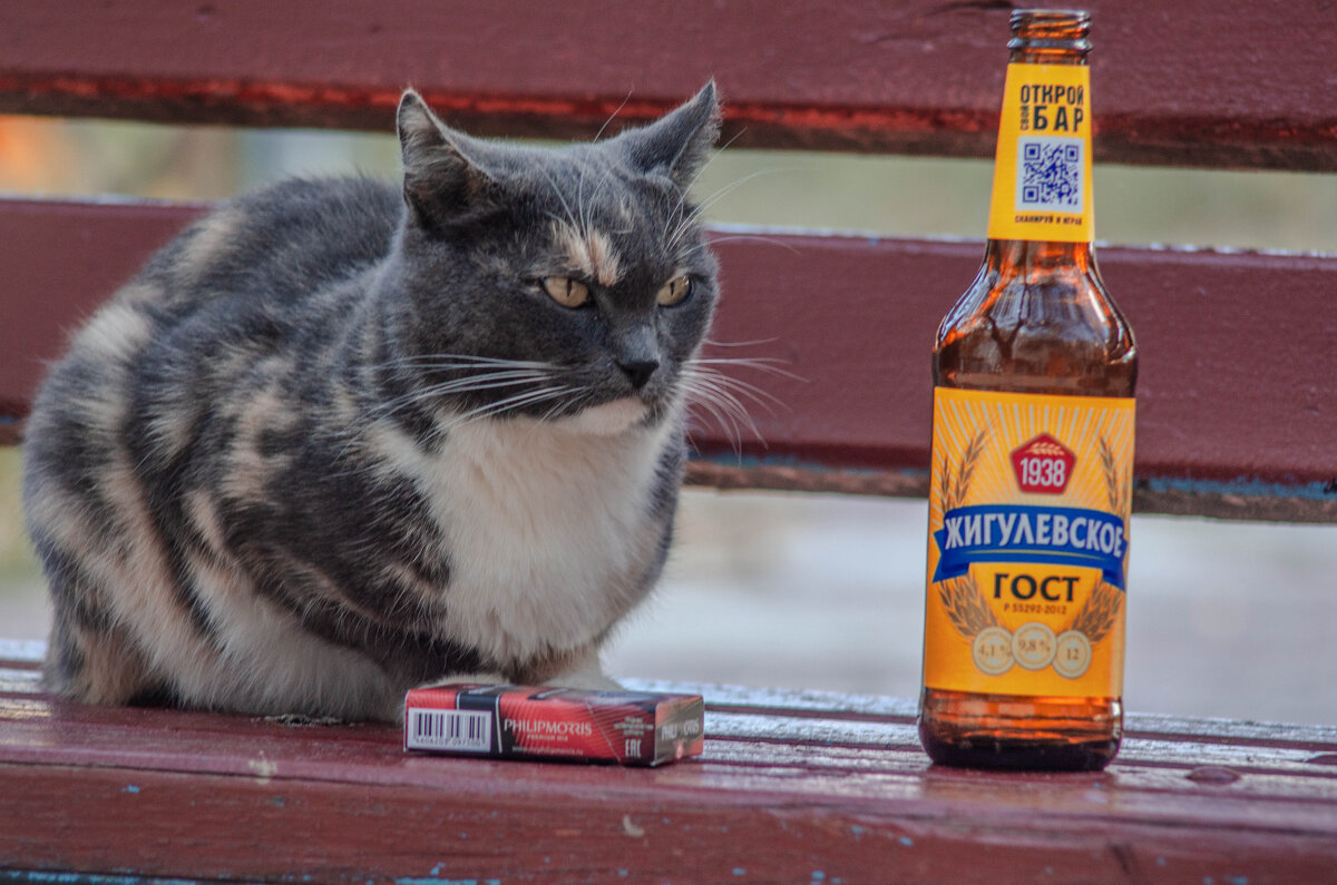 что опять понедельник - Александр Леонов что опять понедельник - Александр Леонов