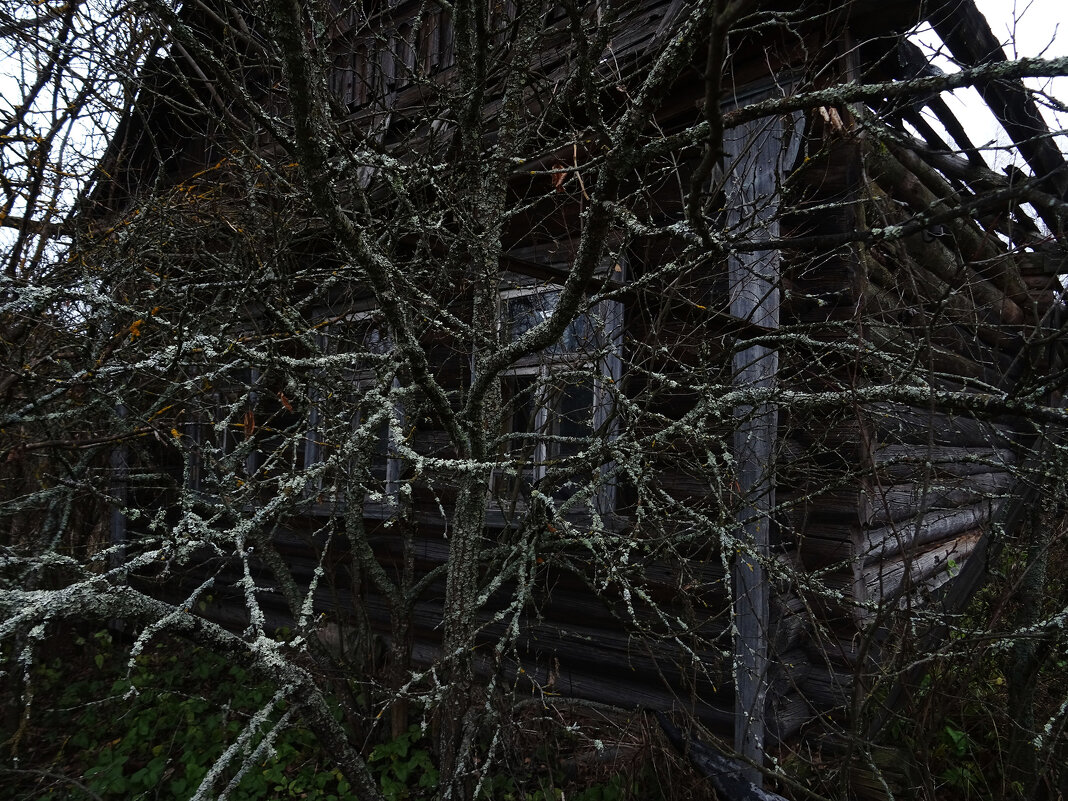 *** - Денис Бочкарёв