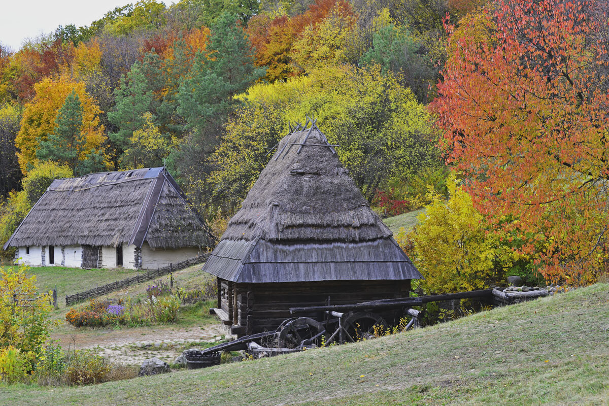 Ярко красила осень октябрь... - Тамара Бедай Ярко красила осень октябрь... - Тамара Бедай