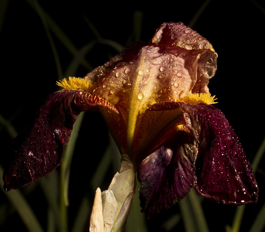 .... - Владимир Зырянов