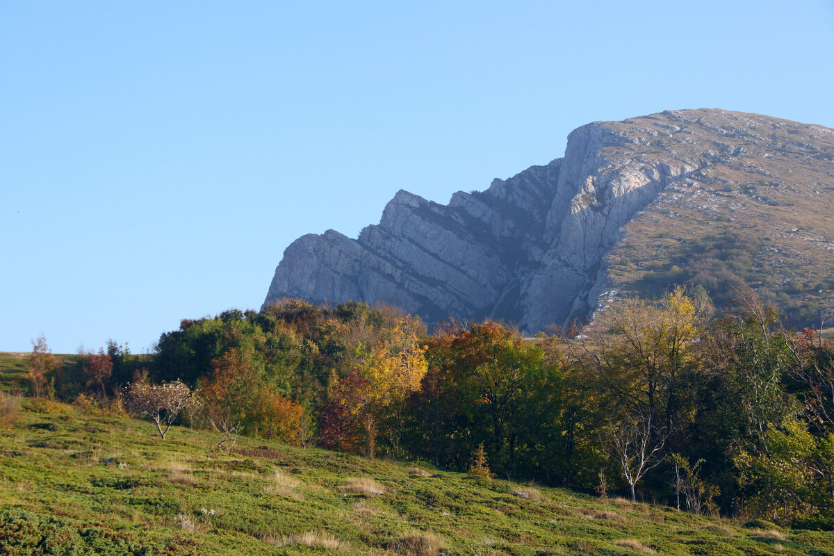 Осень на плато - Всеволод Осень на плато - Всеволод