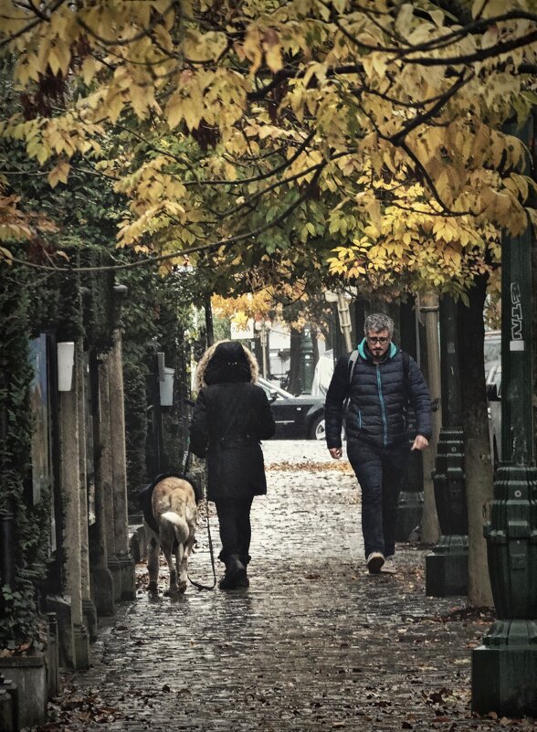 Вот и встретились...) - Elena Ророva