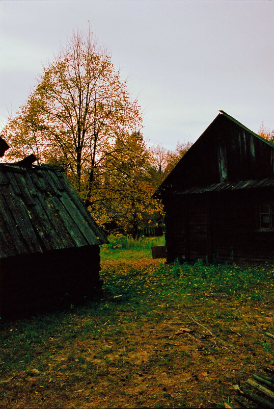 Осенние тени - M Marikfoto