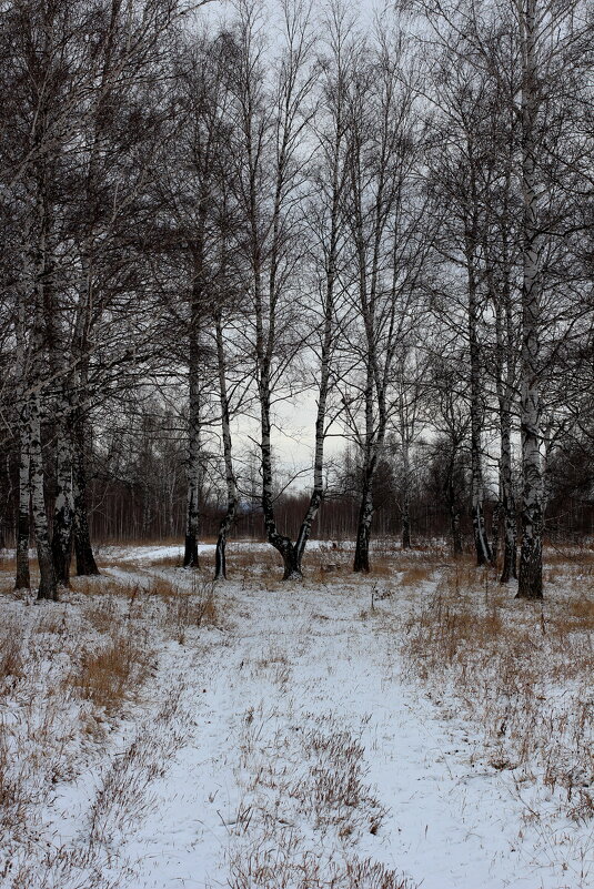 Осень. - Радмир Арсеньев