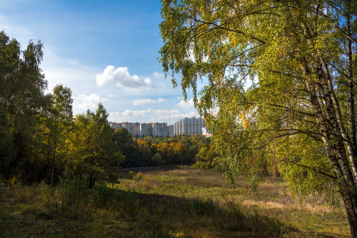 Осень в Братцево. - Владимир Безбородов