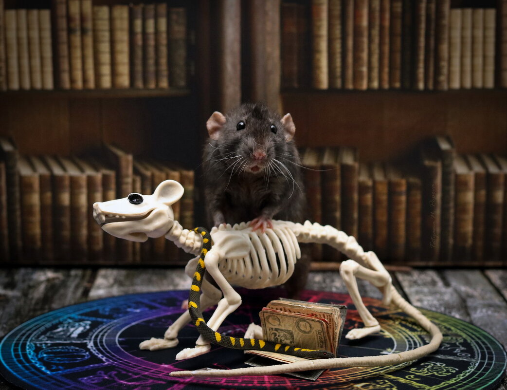 Некромант - Татьяна Попова Некромант - Татьяна Попова