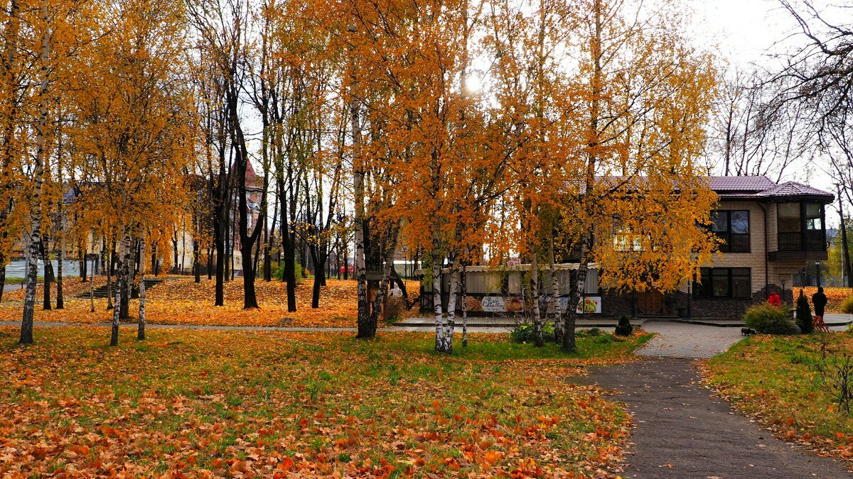 Осенний город. - Милешкин Владимир Алексеевич 