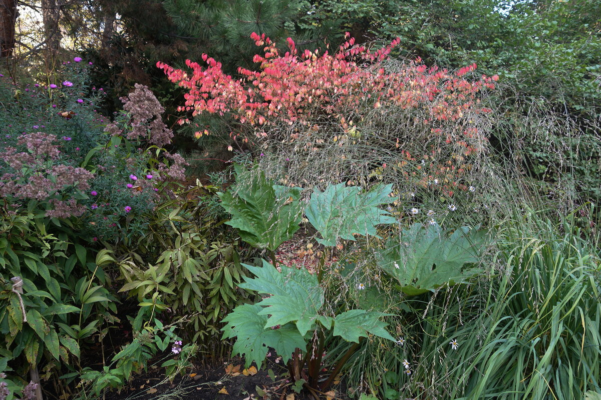 В Аптекарском огороде - Маргарита Батырева