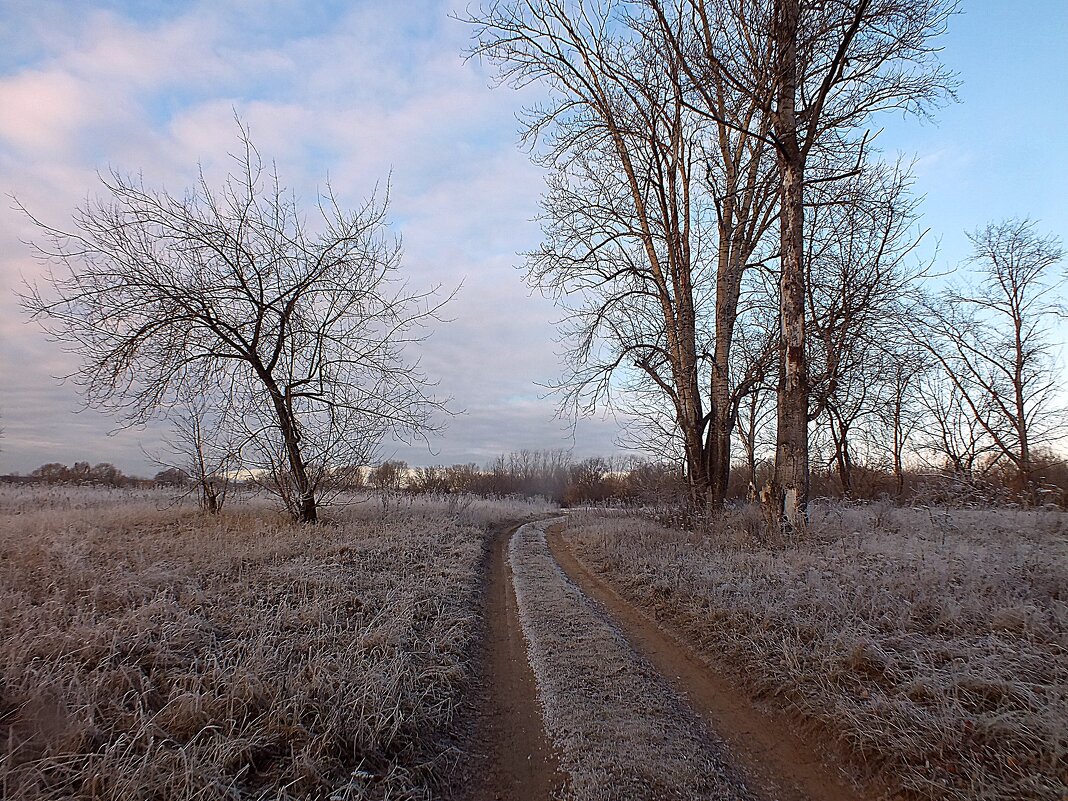 ** - Зоя Мишина