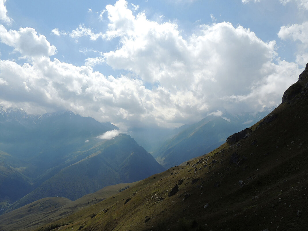 *** - Роман Трофимов