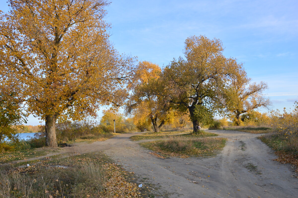Мои дороги. - Виктор Мои дороги. - Виктор