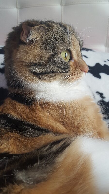 Мася - Светлана Светлая