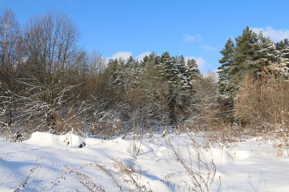 зима - Владимир Холодницкий