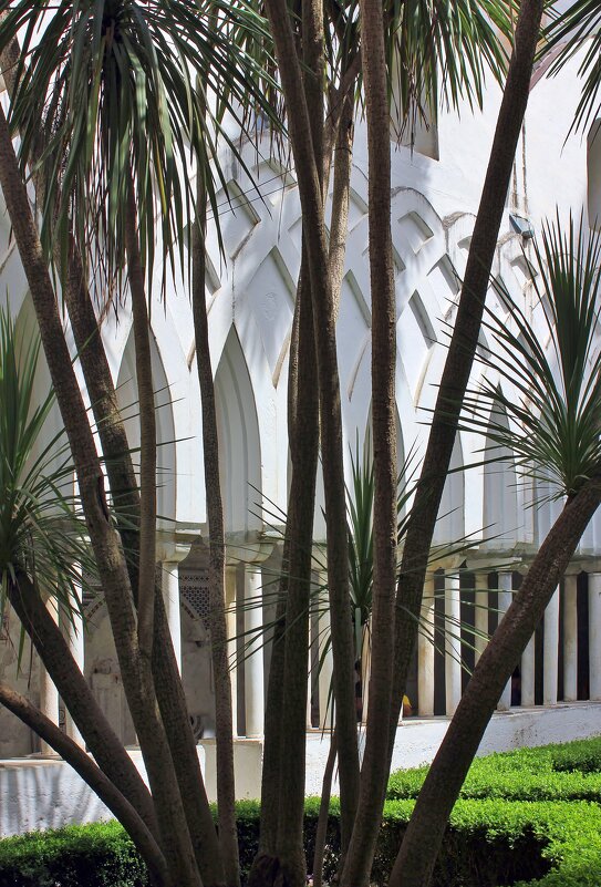 Райский дворик - Владимир Соколов (svladmir)