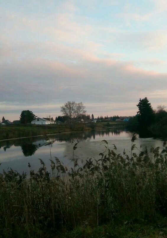 Невеселый пейзаж - Надежда 