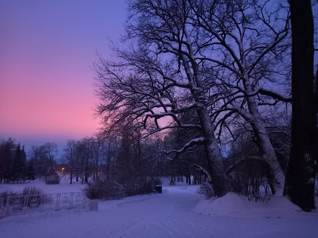 Рассвет - Сапсан 